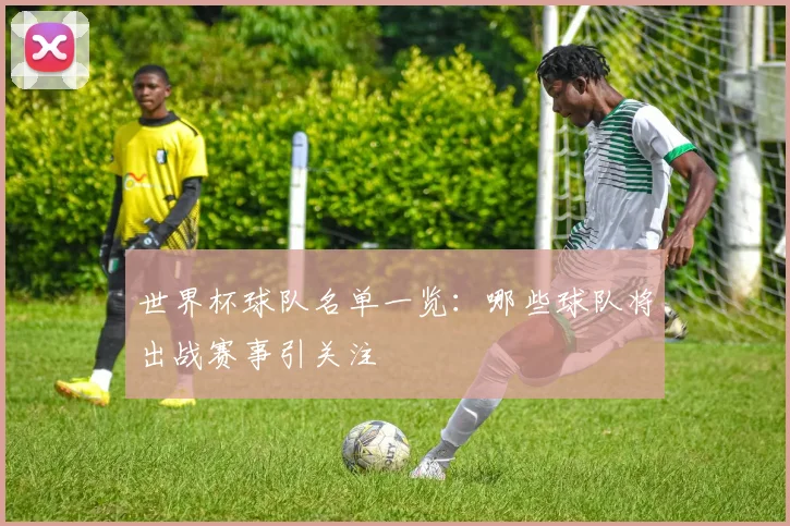 世界杯球队名单一览：哪些球队将出战赛事引关注