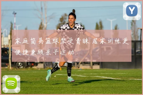 家庭简易篮球架受青睐 居家训练更便捷兼顾亲子运动