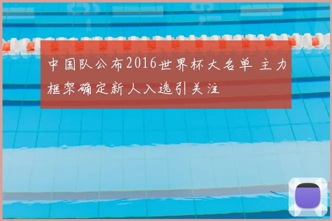 中国队公布2016世界杯大名单 主力框架确定新人入选引关注