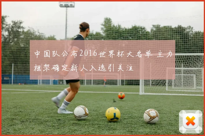 中国队公布2016世界杯大名单 主力框架确定新人入选引关注